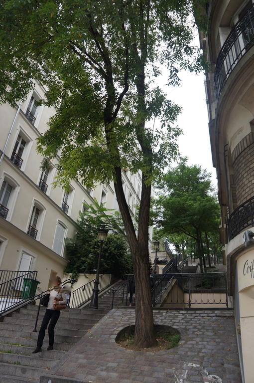 Appartement De Charme A Montmartre *
